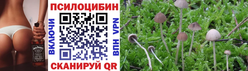 даркнет сайт shop клад Псилоцибиновые грибы мухоморы Когалым